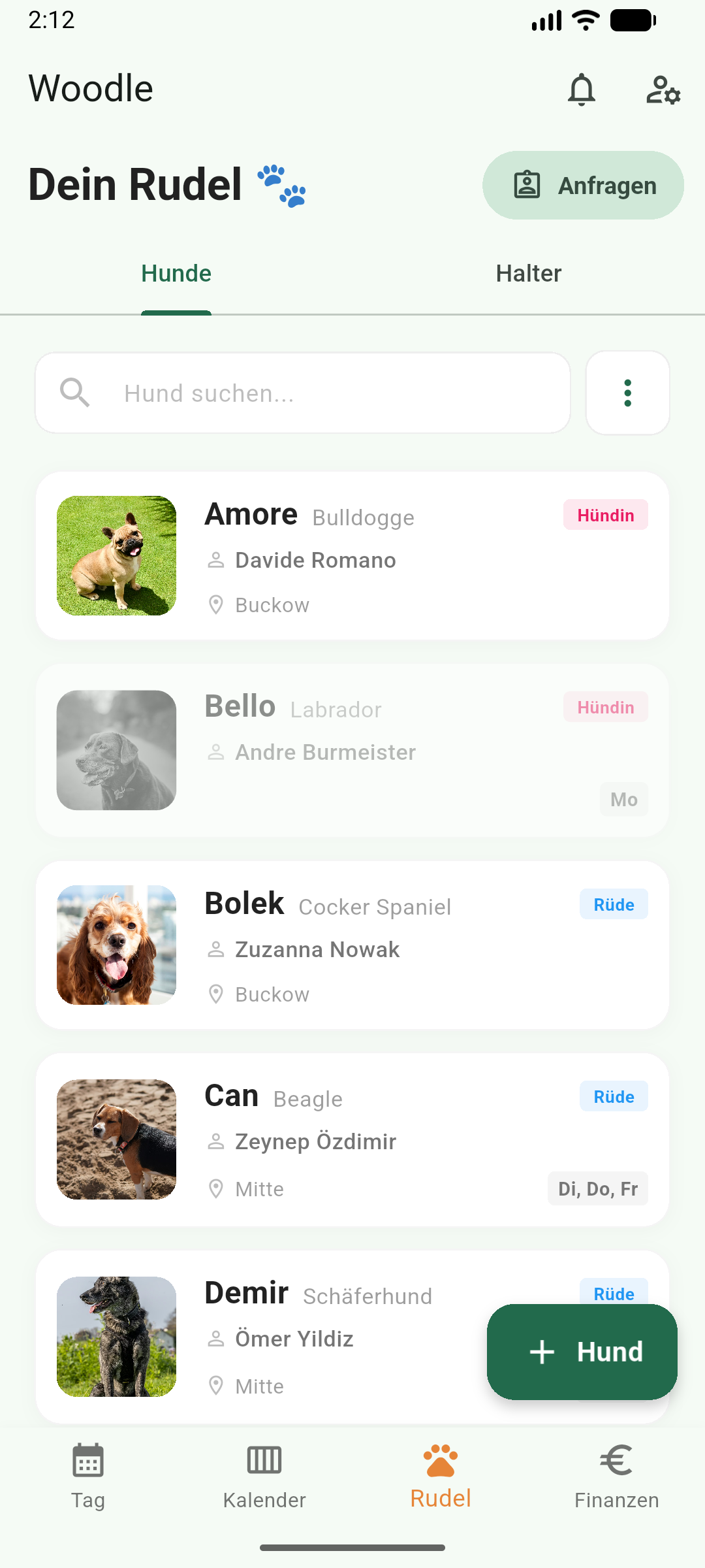 Woodle Hunde Übersicht