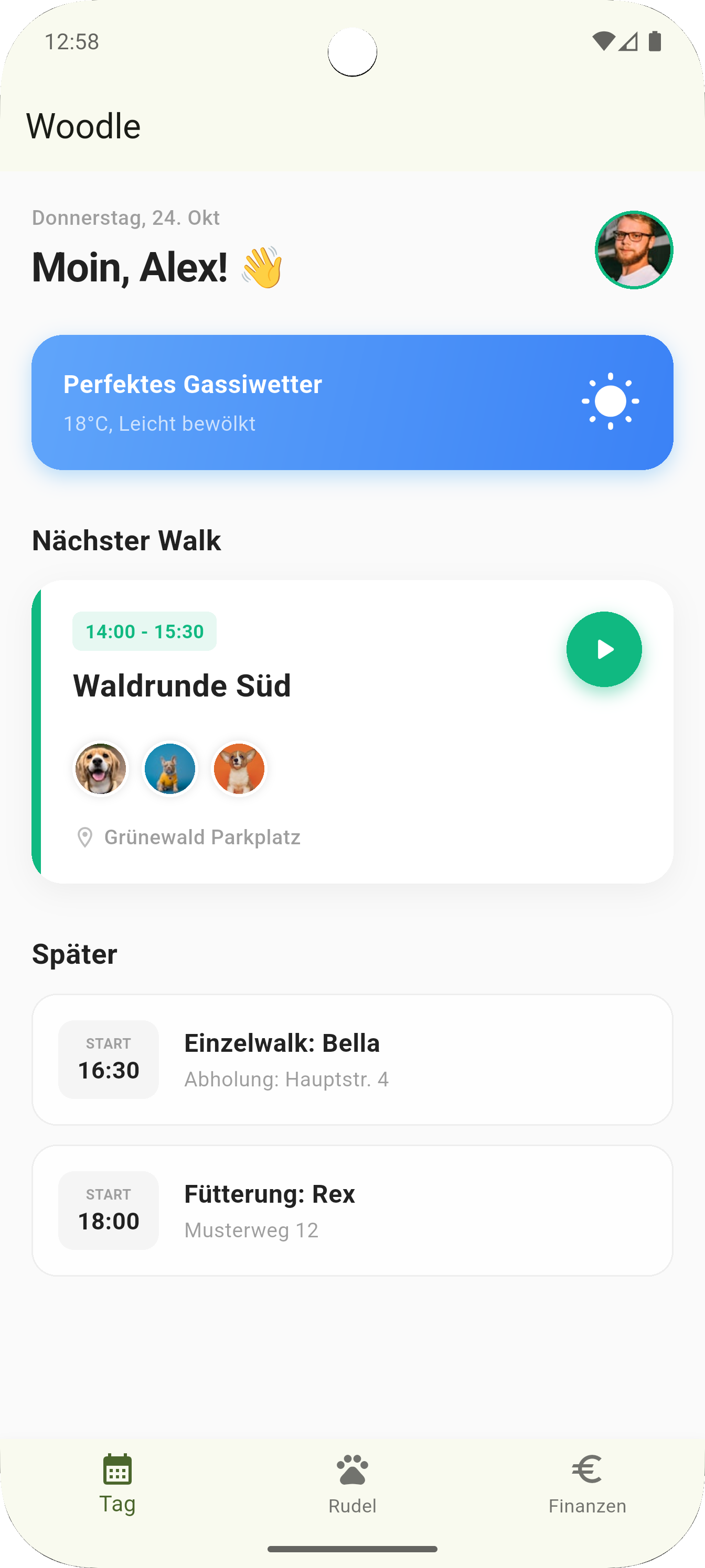 Woodle App Mockup